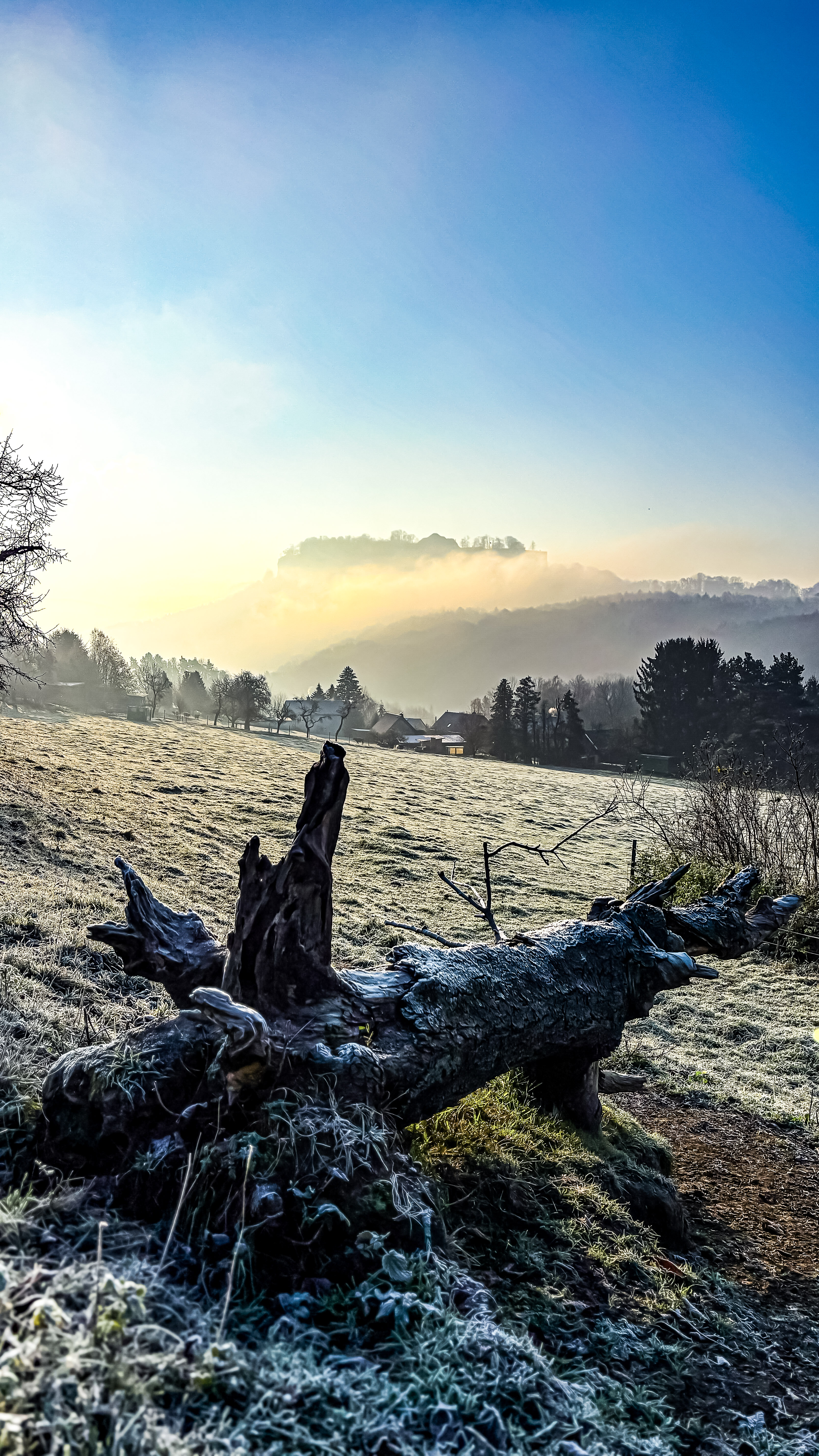 Galerie – Winter